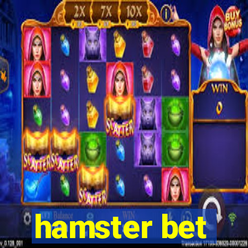 hamster bet