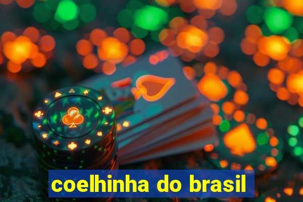 coelhinha do brasil