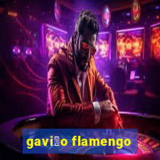 gavi茫o flamengo