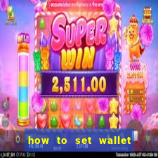 how to set wallet password in bingo plus