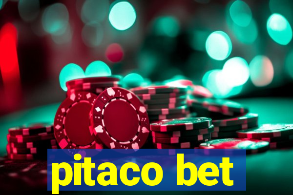 pitaco bet