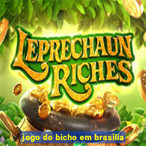 jogo do bicho em brasilia