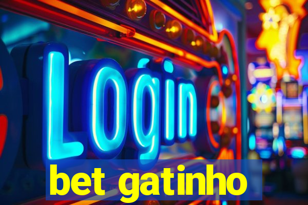 bet gatinho