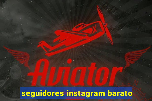 seguidores instagram barato