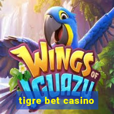 tigre bet casino