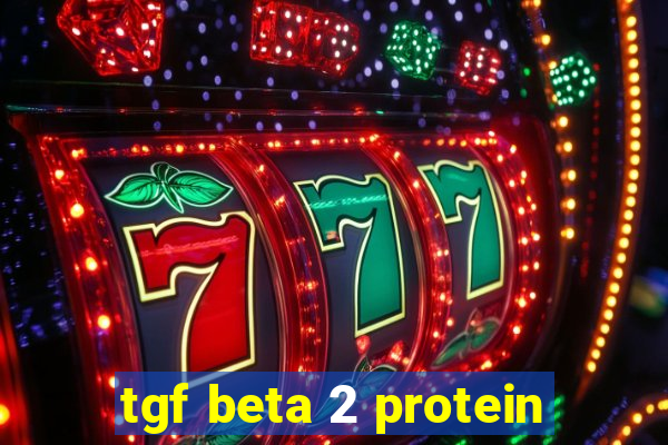 tgf beta 2 protein