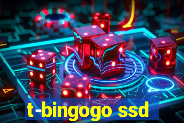 t-bingogo ssd