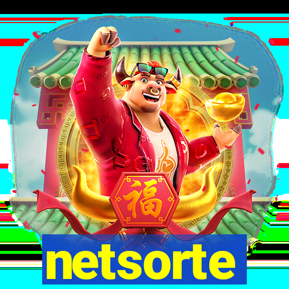 netsorte