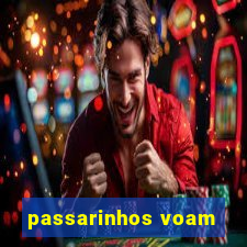 passarinhos voam