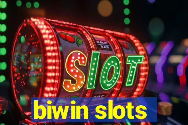 biwin slots