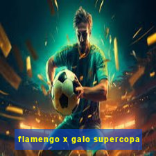 flamengo x galo supercopa