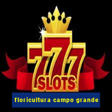 floricultura campo grande