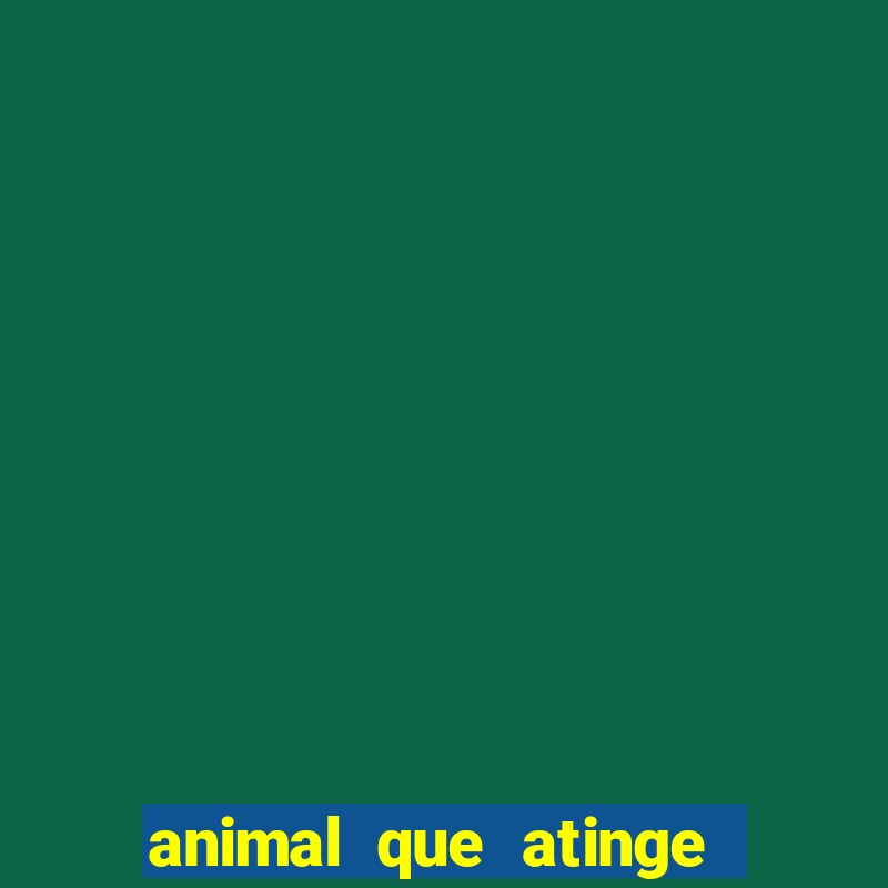 animal que atinge 230 decibéis