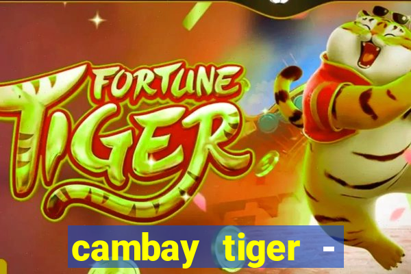 cambay tiger - seafood & meat