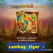 cambay tiger - seafood & meat