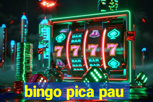 bingo pica pau