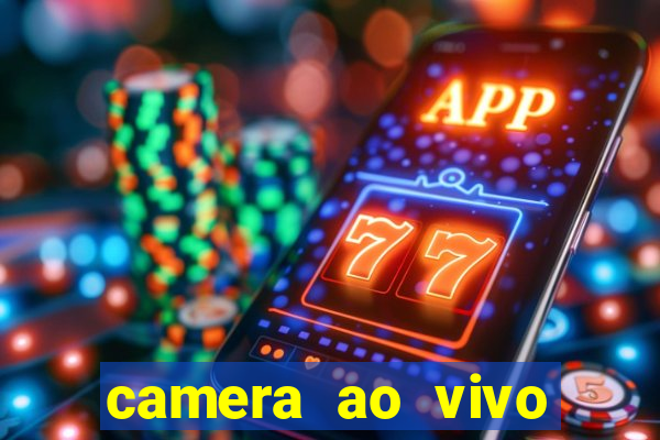 camera ao vivo terminal vila nova cachoeirinha