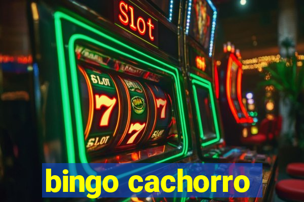 bingo cachorro