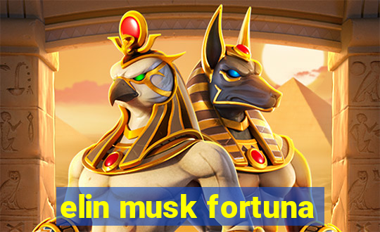 elin musk fortuna