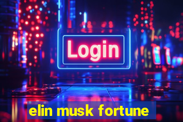 elin musk fortune