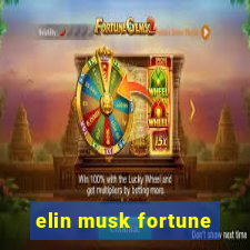 elin musk fortune