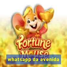 whatsapp da avenida