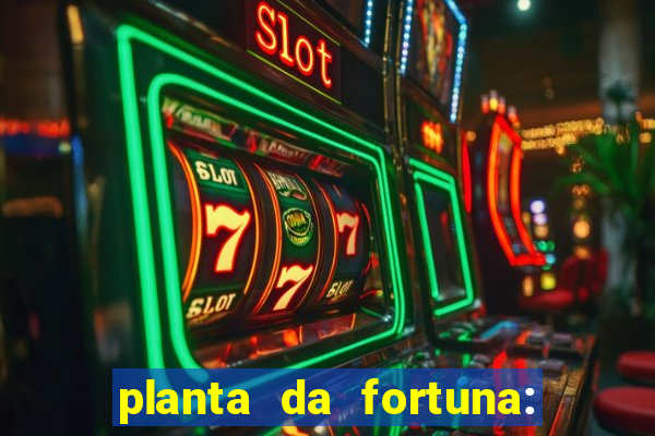 planta da fortuna: como cuidar