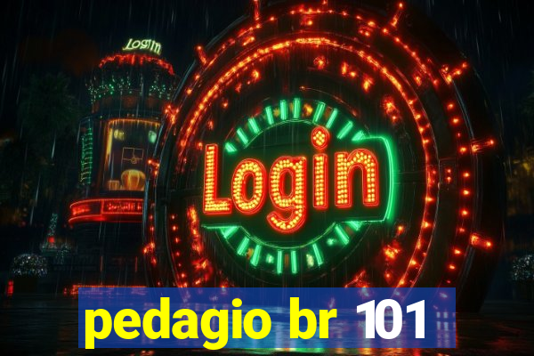 pedagio br 101