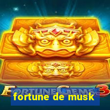 fortune de musk