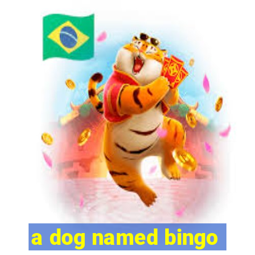 a dog named bingo