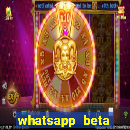 whatsapp beta 3.3.10 2024