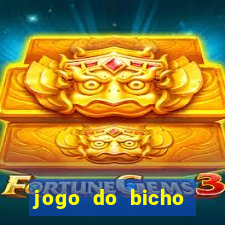 jogo do bicho aplicativo do celular