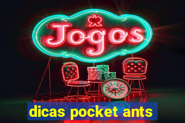 dicas pocket ants