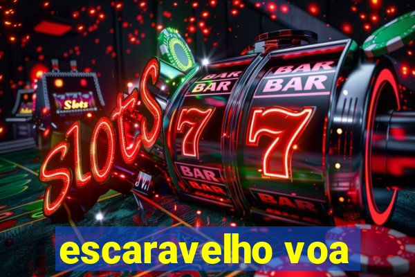 escaravelho voa