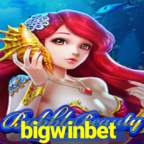 bigwinbet