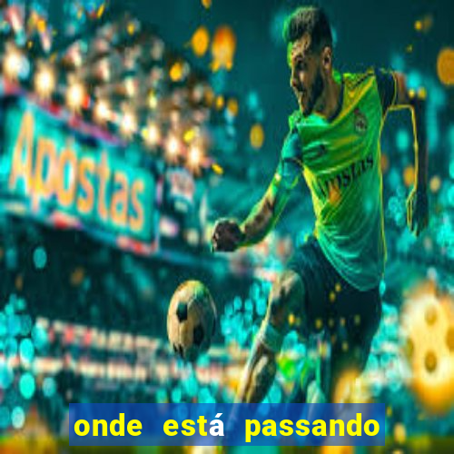 onde está passando o jogo do brasil