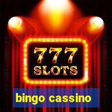 bingo cassino