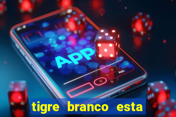 tigre branco esta em extinção