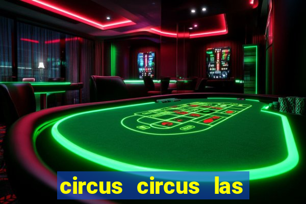 circus circus las vegas hotel & casino