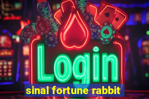 sinal fortune rabbit