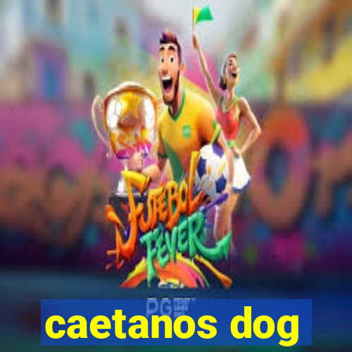 caetanos dog