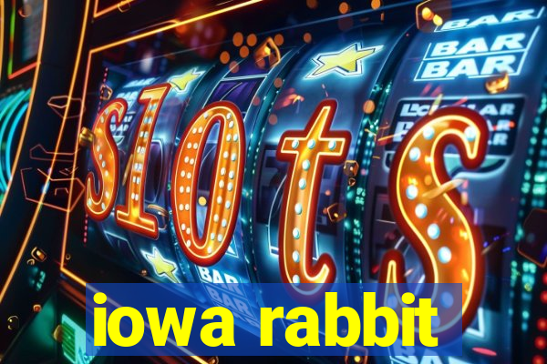 iowa rabbit