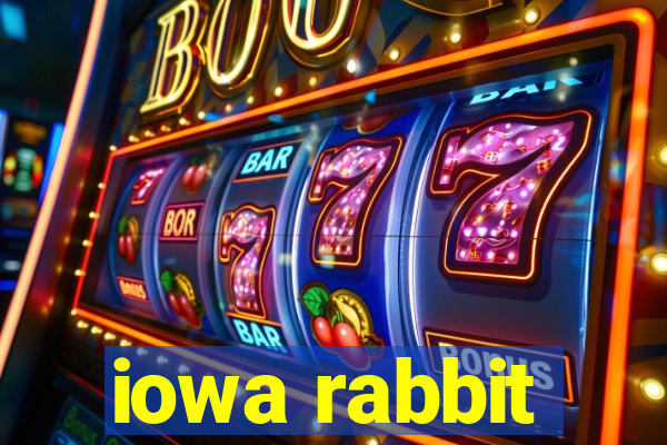 iowa rabbit