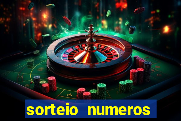 sorteio numeros bingo online