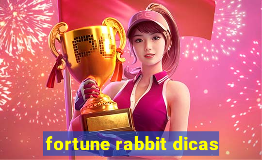 fortune rabbit dicas