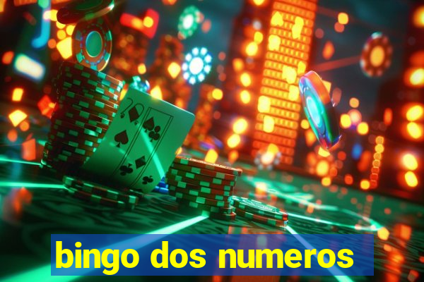 bingo dos numeros