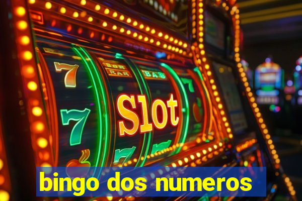 bingo dos numeros