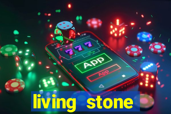 living stone network tv