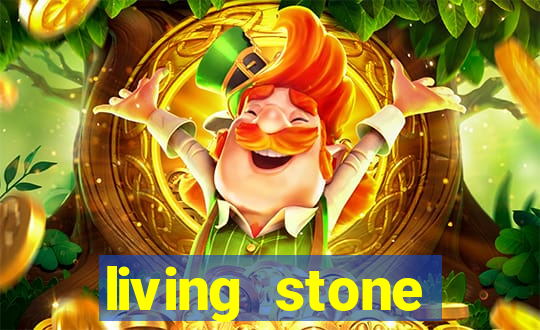 living stone network tv