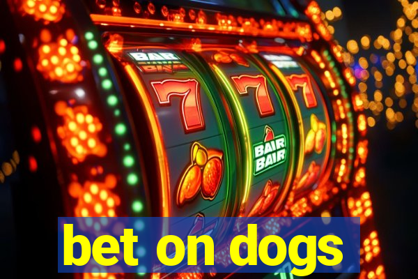 bet on dogs